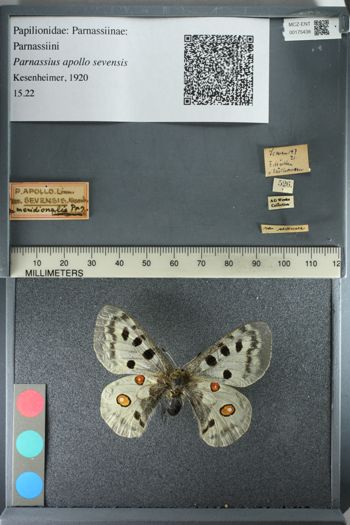Media type: image;   Entomology 175438